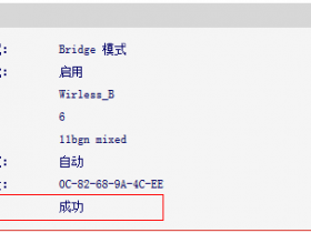 设置为Bridge模式,连接在Mini路由器下的终端无法上网,怎么办?