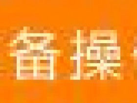 如何给终端分配指定的IP地址?